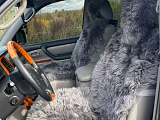 Fur 12DG-1